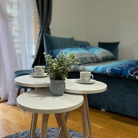 Lovely Apartment With The Parking Place Podgorica Esterno foto