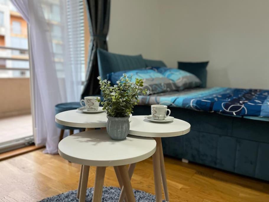 Lovely Apartment With The Parking Place Podgorica Esterno foto