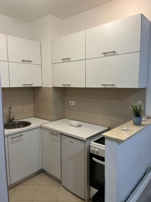 Lovely Apartment With The Parking Place Podgorica Esterno foto
